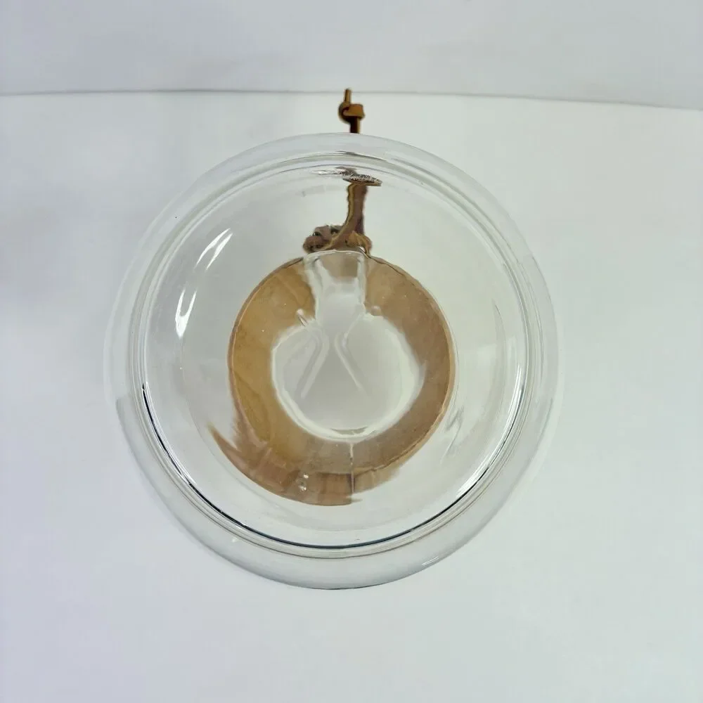 Chemex Pour Over Coffee Maker Blown Glass Wood Collar 8.5